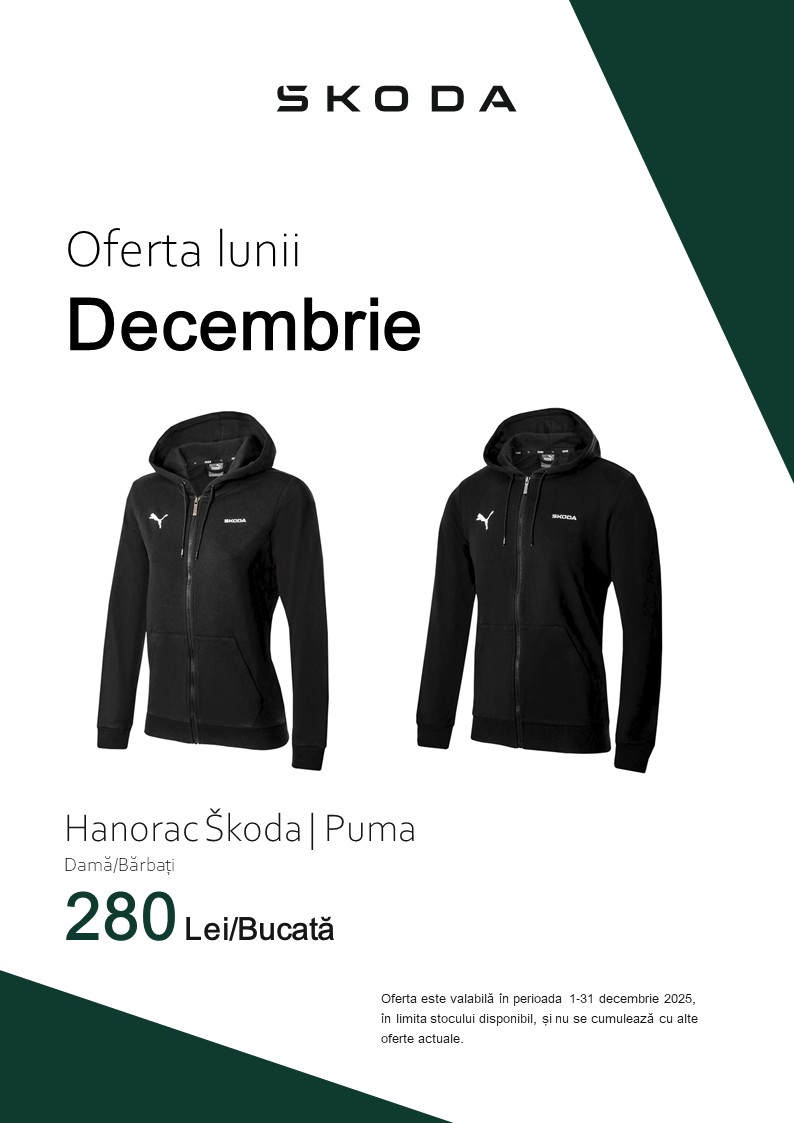 oferta lunii decembrie skoda