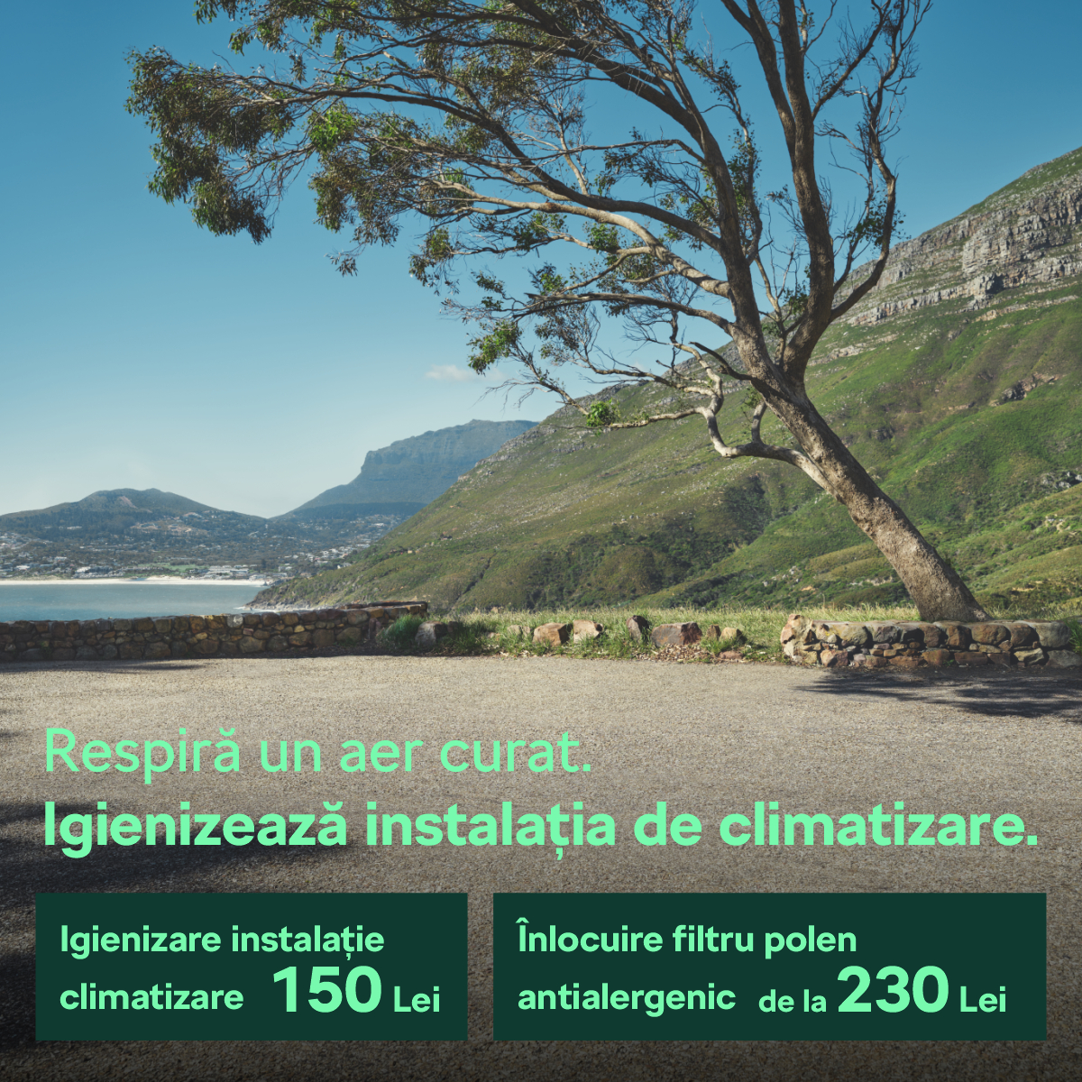 igienizare bannere some 1200 x 1200 _ skoda _ct