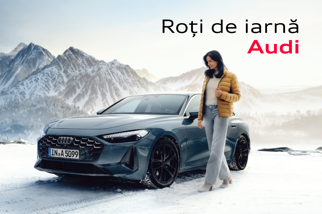 toamna iarna bannere site dealer audi