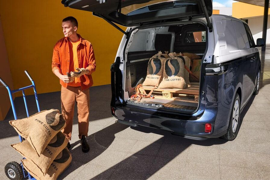 ib000136pic id buzz cargo highlights features 01 2